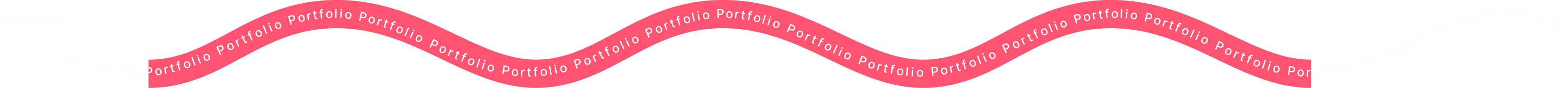 portfolio text